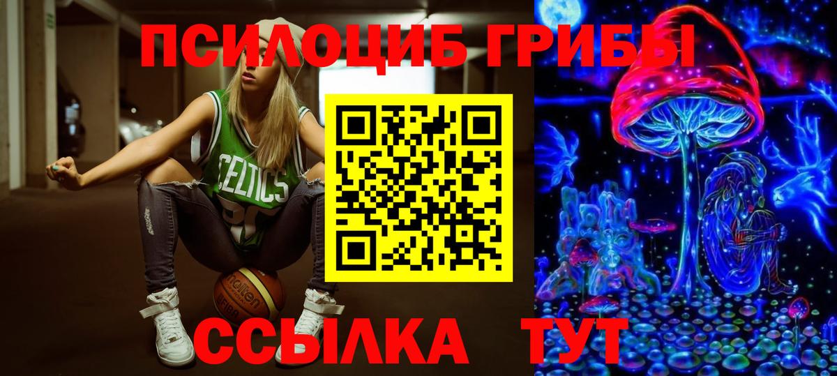 Галлюциногенные грибы GOLDEN TEACHER Хабаровск